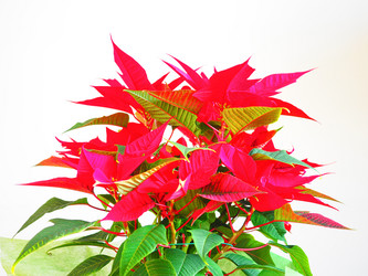 Similar image 7592695