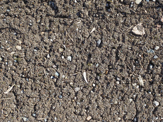 Similar image 7592835