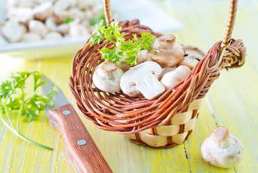 Similar image 7593439