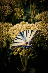 Similar image 7593597