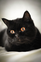 Similar image 7593598