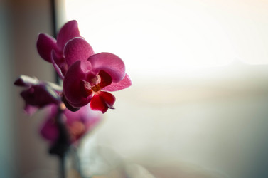 Similar image 7593599