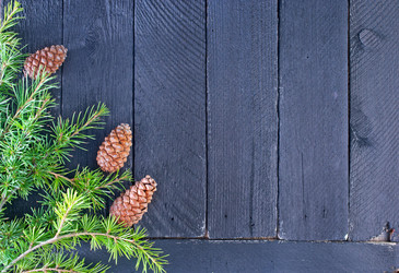 Similar image 7593622