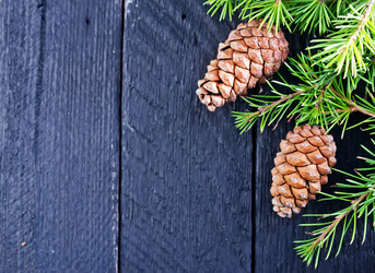 Similar image 7593625