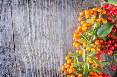 Similar image 7593728