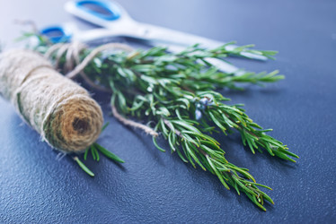 Similar image 7593831