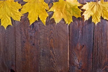 Similar image 7593841