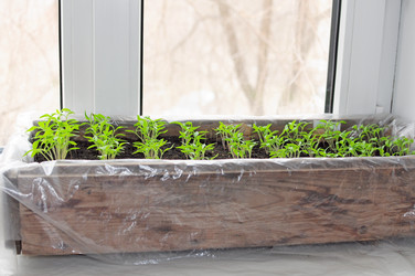 Similar image 7593957