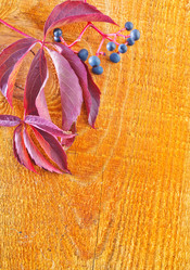 Similar image 7594062