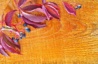 Similar image 7594094