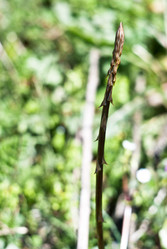 Similar image 7594184