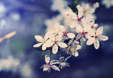 Similar image 7594338