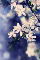 Similar image 7594356