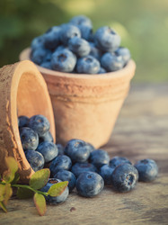 Similar image 7594360