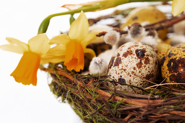 Similar image 7594368