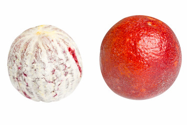 Similar image 7594663