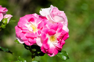 Similar image 7595369