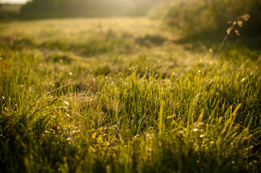 Similar image 7595409