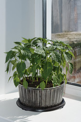 Similar image 7595455