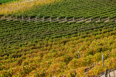 Similar image 7595458