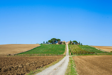 Similar image 7595536