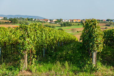 Similar image 7595566