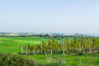 Similar image 7595567