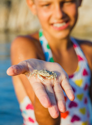 Similar image 7595922