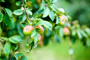 Similar image 7595949