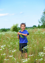 Similar image 7596073