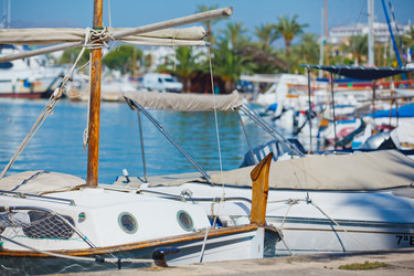 Similar image 7596504