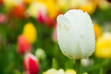 Similar image 7596537