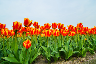 Similar image 7596541