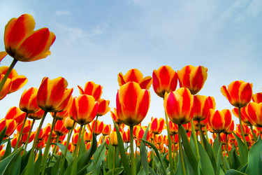 Similar image 7596542