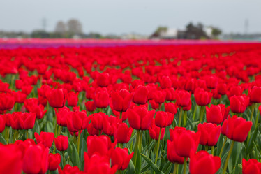 Similar image 7596543