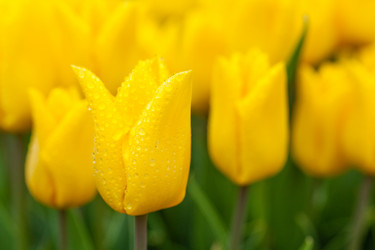 Similar image 7596545