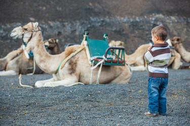 Similar image 7596998