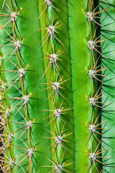 Similar image 7597034