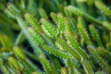 Similar image 7597082