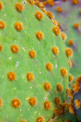 Similar image 7597083