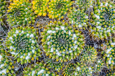 Similar image 7597177