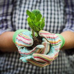 Similar image 7597395