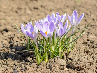 Similar image 7597414