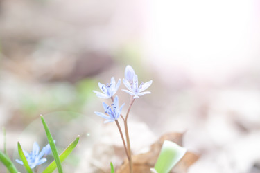 Similar image 7597447