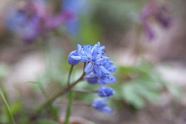 Similar image 7597448