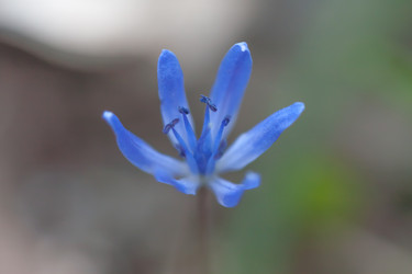 Similar image 7597450