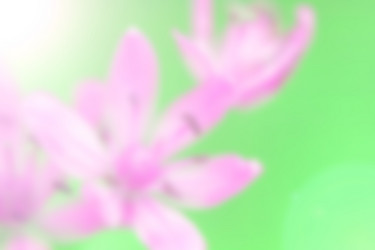 Similar image 7597451