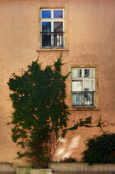 Similar image 7597478