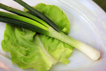 Similar image 7597522