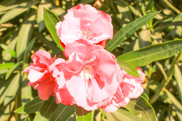 Similar image 7597757